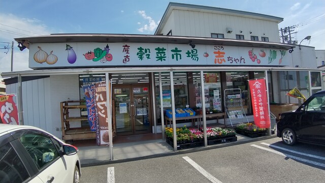 志ちゃん - 塚目（パン）の写真