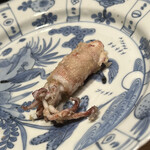 成生 - 赤イカの子供です。今朝、定置網から水揚げされました