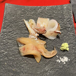 成生 - ジンドウイカです