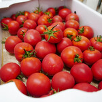 立ち呑み処　おかもと - 