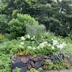 バックハウス インノ 八ヶ岳店 - 