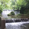 貴船 水源の森 天山