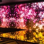 NEXT□ - プロジェクションマッピングを見ながら食べられる席です。