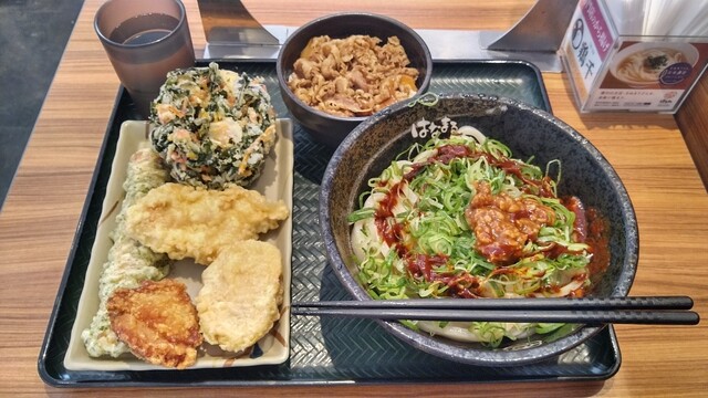 吉野家&times;はなまるうどん 天童南店 - 天童南（うどん）の写真