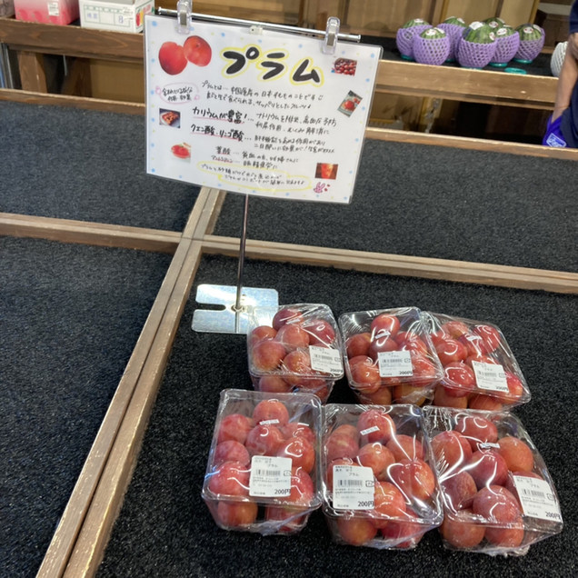 道の駅 国見 あつかしの郷 藤田/道の駅 食べログ