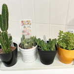 がばちょ - ありがとう♡