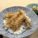 てんぷらと和食 山の上 - 