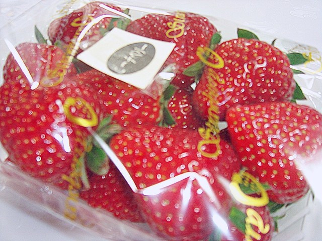 石井農園 Erdbeere イシイノウジョウ エーアトベーレ 西船橋 その他 食べログ