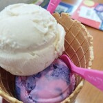 サーティワンアイスクリーム - ナッツトゥーユー&コットンキャンディ