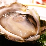 アピシウス - 佐賀県産岩ガキ