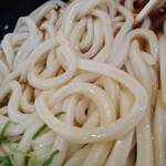 伊予製麺 - うどんのアップ