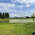 農園カフェ そら - お店からの眺め…田んぼに囲まれています♪