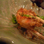 魚菜 由良 - 海老マヨ喰らう