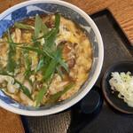 根崎やたら家 - かつとじそば900円