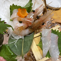 海鮮家 はこだて 本店 - 
