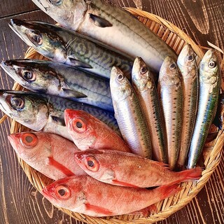 お刺身に自信あり！！！！