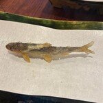 旬彩天 つちや - 稚鮎