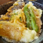 Towarisoba Midorian - こちらは野菜天丼！