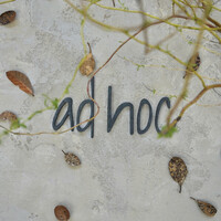 ad hoc  - 