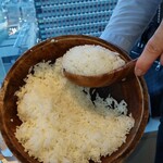 マンゴツリー東京 - ジャスミンライス (品種:ゴールデンフェニックス) おかわり無料