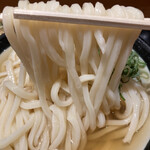 日本橋 讃岐うどん ほし野 - かけうどん