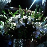 横浜うかい亭 - ２Ｆロビーを飾るカサブランカ