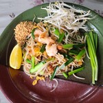 ソムタイ - ビーフン。付け合せのネギがすごくいいアクセント。全部混ぜていただきます