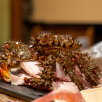 うを徳 - 2022.7 北海道ハナサキガニ800gサイズ