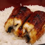 야요이켄 후쿠이 사바에점 - 장어 덮밥 정식의 장어
