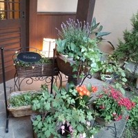 薪の音 - お店の外