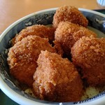 志多美屋本店 - まん丸ヒレカツは柔らかくほぐれます！