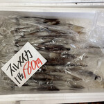 鮮魚ぎさ - スルメイカ　1杯180円