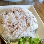 モンベルヴィレッジ 立山ハーベステラス - 