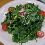 桜上水酒場　弥太兵衛 - パクチーサラダ