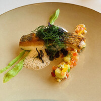 ツキ シュール ラメール - 