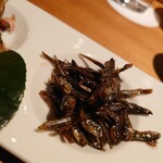 小料理バル ドメ - 2201