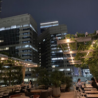 THE UPPER - 