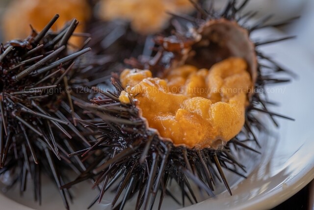 Masadate Shokudo photo 2