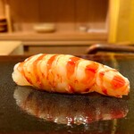 鮨 あらい - 車海老 レア