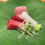 おおたに - 平政、鮪、赤いかのお造り