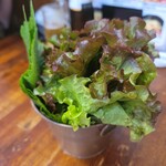 韓国料理 チキン＆サムギョプサル COCOYA - サムギョプサル（1280円）×2　サンチュ