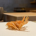 にい留 - 車海老　頭