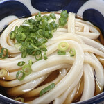 UDON STAND TATSUMI - 