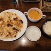 Meshi Kafe Ippuku - 羽根付き餃子8個(セット)　1000円