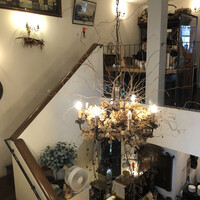 VELVET VIRGO -  VELVET VIRGO -