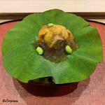 御料理 寺沢 - 蝦夷鮑と生海胆のジュレ掛け