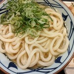 Marugame Seimen - かけ