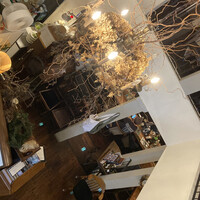 VELVET VIRGO -  VELVET VIRGO -