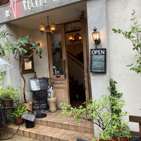 VELVET VIRGO -  VELVET VIRGO -