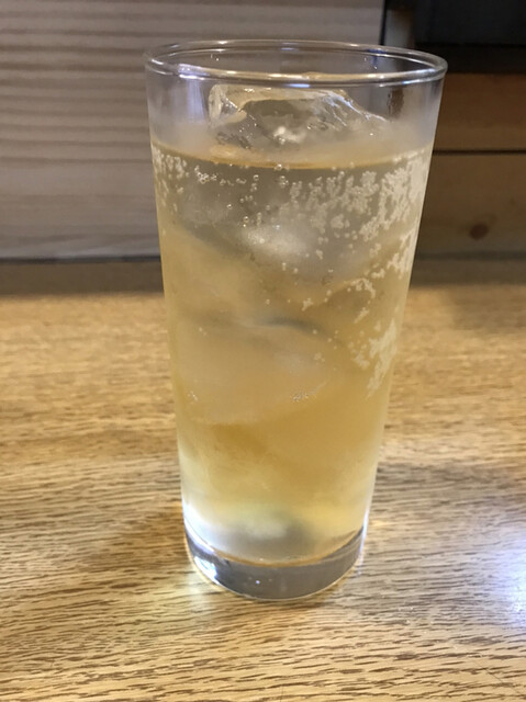 Tori Soba Dinosaur photo 4